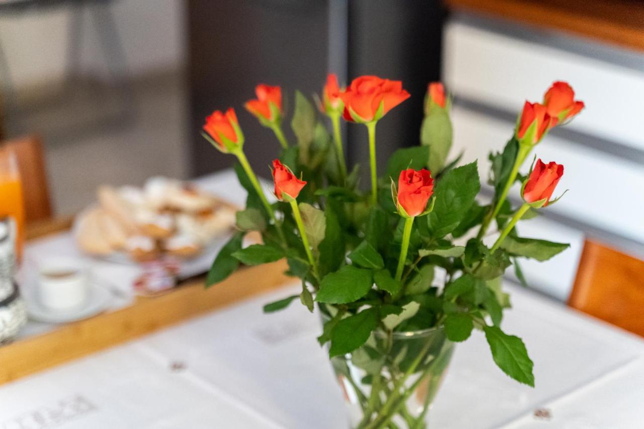 Spacious 3-Bedroom Apartment With Courtyard In Tempio Pausania - Perfect For Families エクステリア 写真