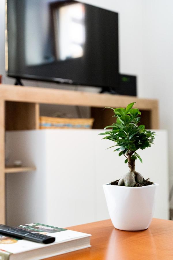 Spacious 3-Bedroom Apartment With Courtyard In Tempio Pausania - Perfect For Families エクステリア 写真